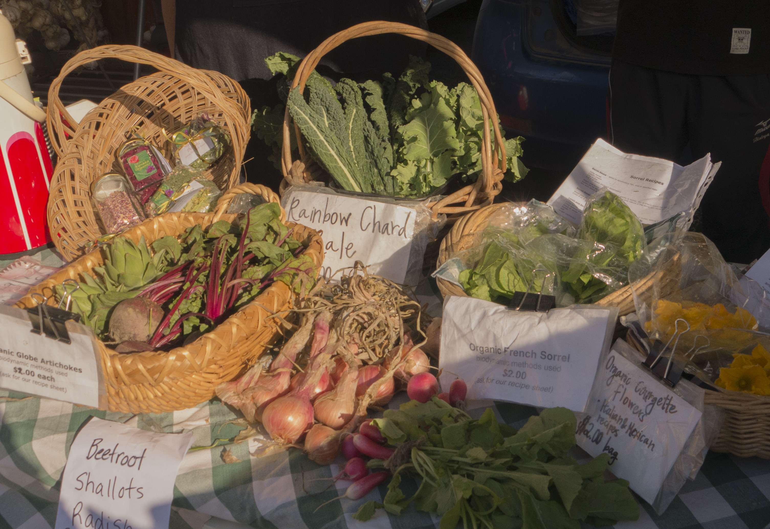 otago organics.jpg