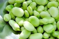 broad beans.jpg