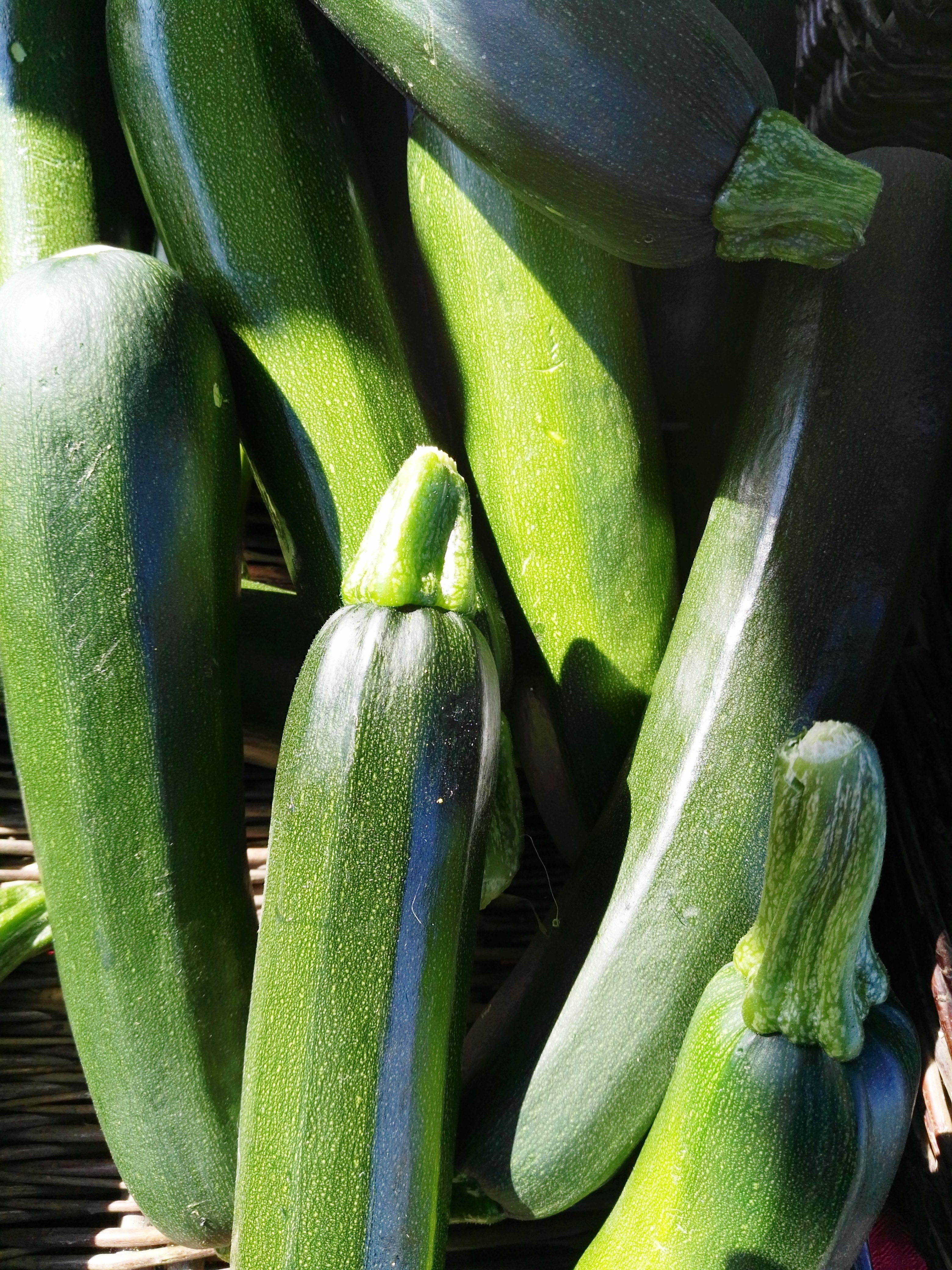 courgette.jpg