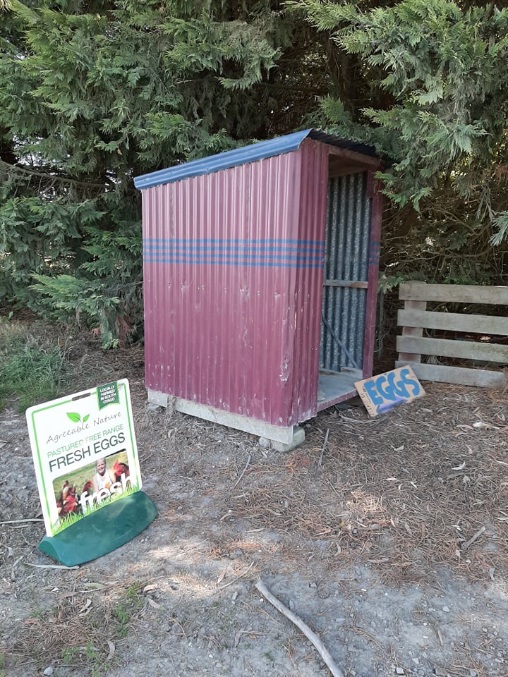 bus shelter (1) agreeable .jpg