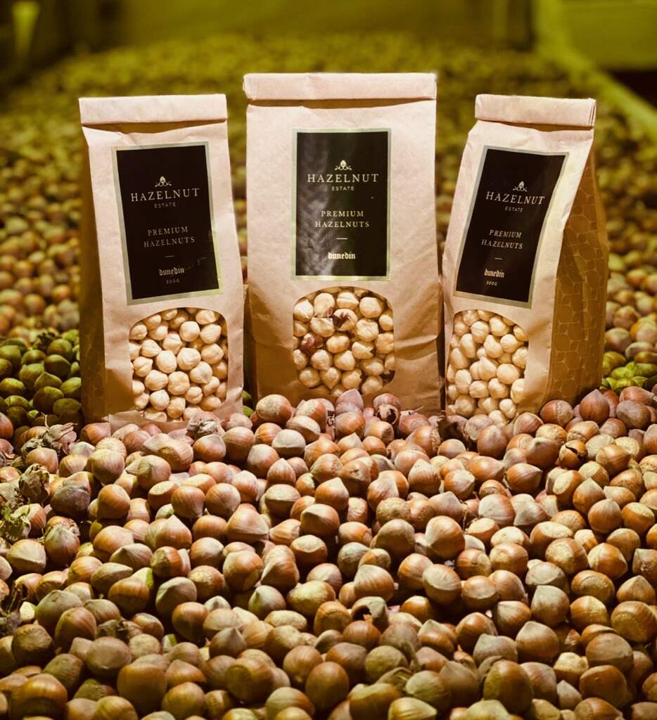 hazelnuts great shot.jpg