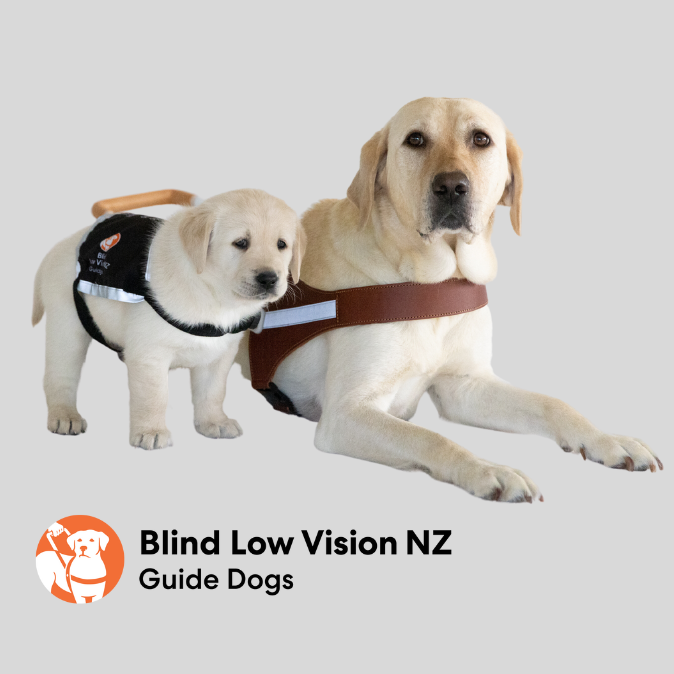 BLVNZ Guide Dogs.png