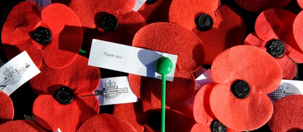 Poppy Day.jpg